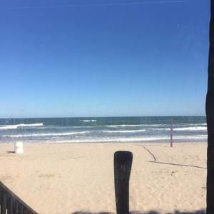 Meet your Posher, Martha